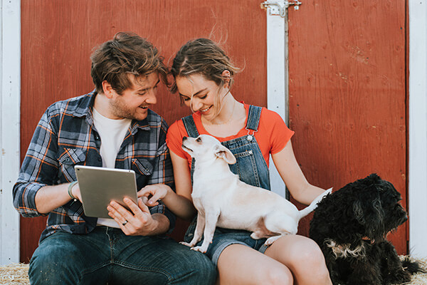 Young newly married couple with two dogs