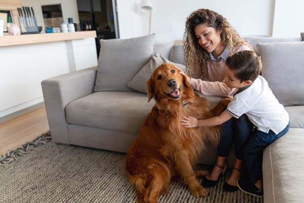 Family Pets Discount Plans